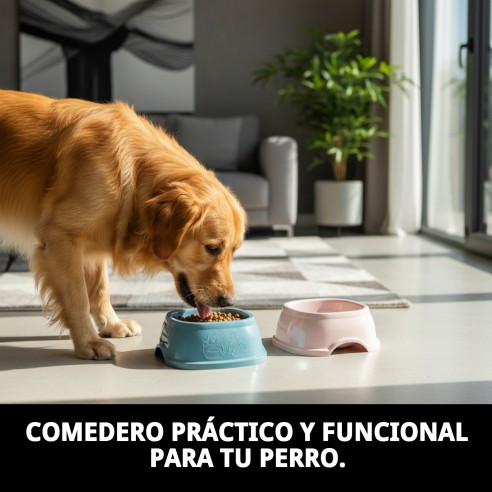 Comedero Break N.2 19x19x7h para Mascotas - Alta Calidad