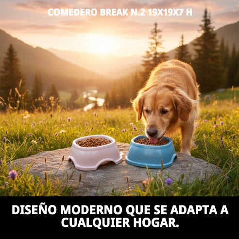 Comedero Break N.2 19x19x7h para Mascotas - Alta Calidad