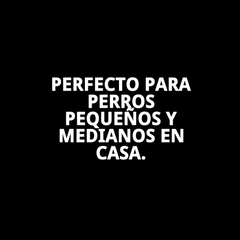 Comedero Break N.5 33x33x12 CM para tu mascota