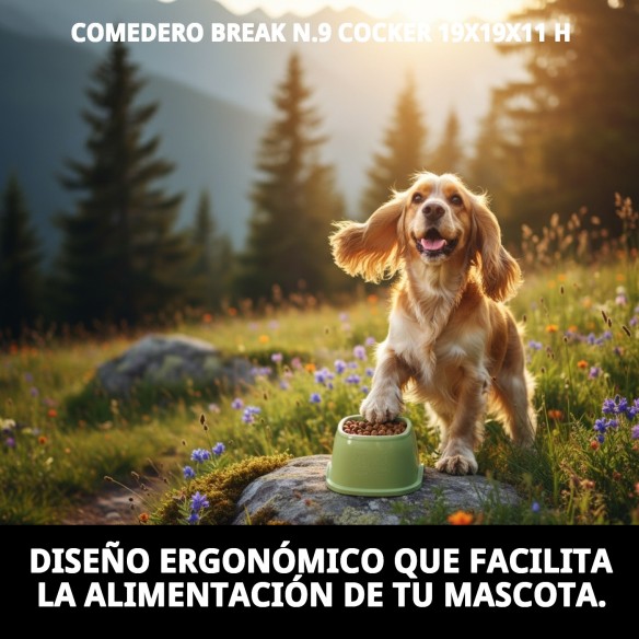 Comedero Break N.9 para Cocker - Ideal y Práctico 19x19x11
