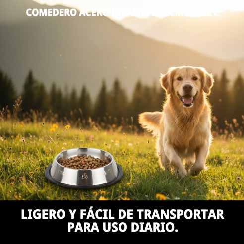 Comedero de Acero Pirámide 12cm - Diseño Moderno y Práctico