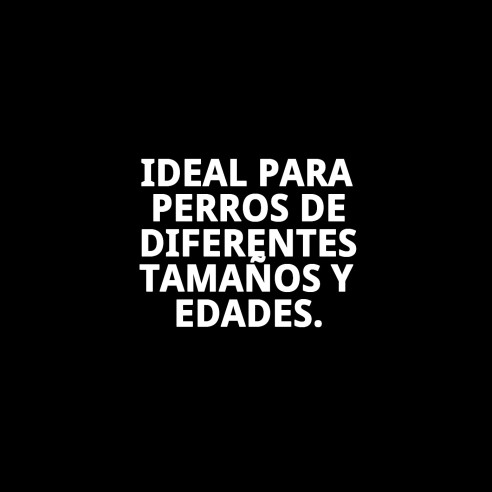 Comedero Multiusos Cake Ajustable 12,5cm para Mascotas