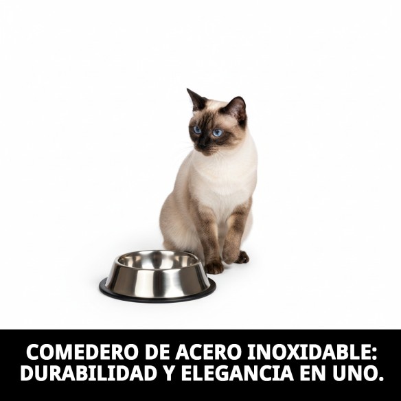 Comedero de Acero Inoxidable para Gato 12cm - Alta Calidad