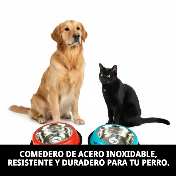 Comedero de Acero Antideslizante Draw 22cm 1,55L para Mascotas