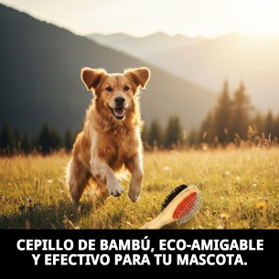 CEPILLO DOBLE P. NYLON G 2