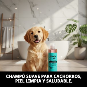 CHAMPU CACHORROS 250ml 2