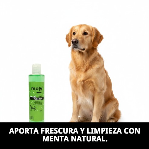 Champú Menta Fresh para Perros - 250ml, Higiene y Aroma
