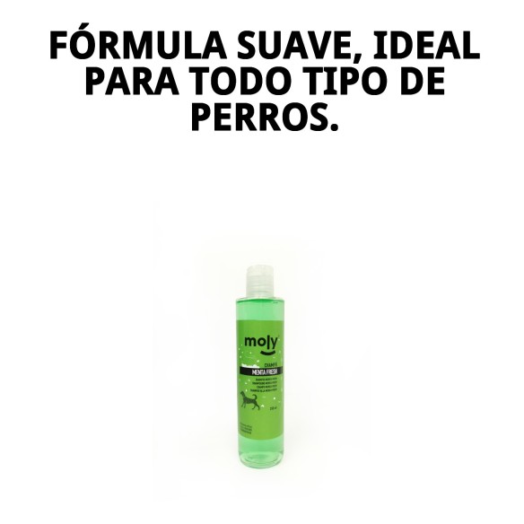 Champú Menta Fresh para Perros - 250ml, Higiene y Aroma