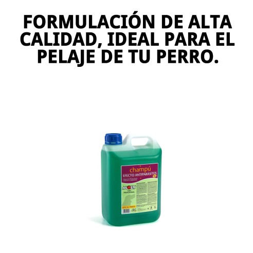 Champú Menta Fresh 5L: Protección y frescura para tu perro