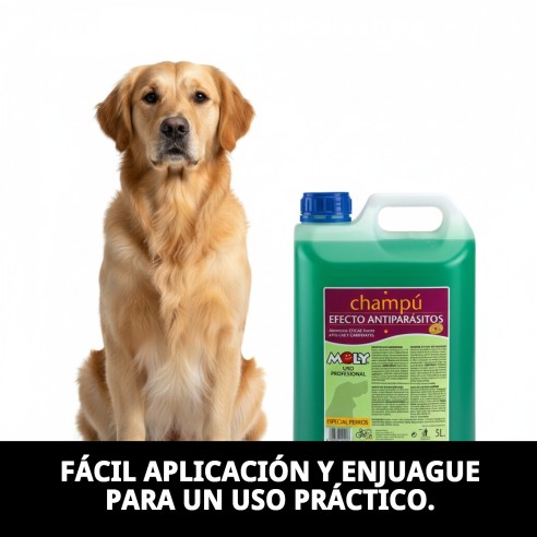Champú Menta Fresh 5L: Protección y frescura para tu perro