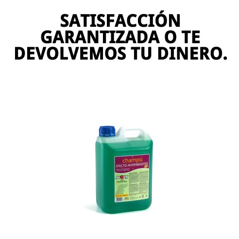 Champú Menta Fresh 5L: Protección y frescura para tu perro