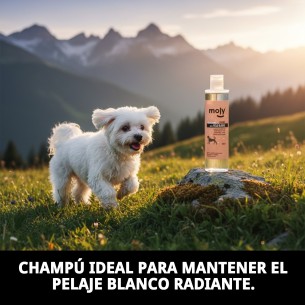 CHAMPU PELO BLANCO 250ml 2