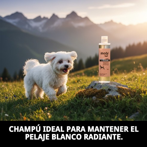 Champú Pelo Blanco 250ml - Brillo y Volumen para Mascotas
