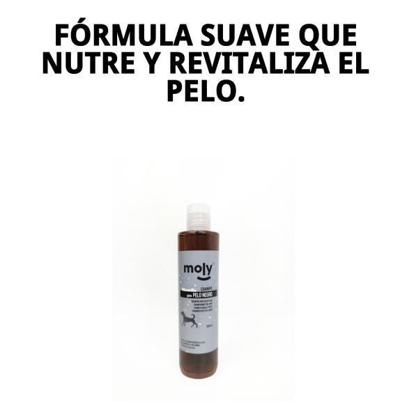 Champú para Pelo Negro 250ml - Brillo y Color Intenso