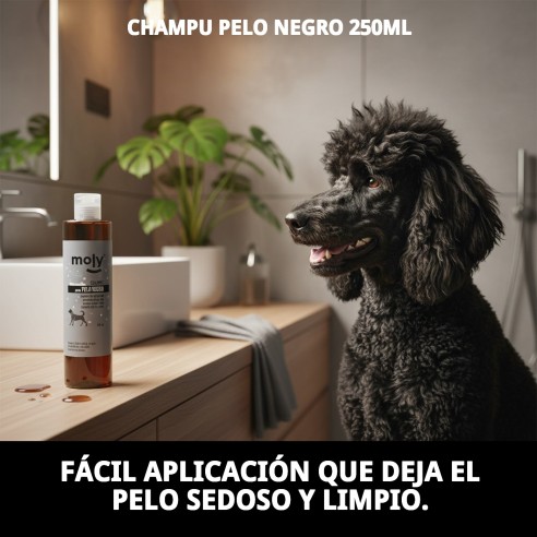 Champú para Pelo Negro 250ml - Brillo y Color Intenso