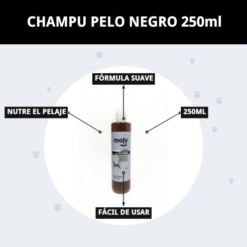 Champú para Pelo Negro 250ml - Brillo y Color Intenso