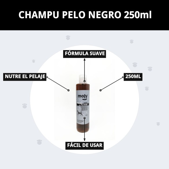 Champú para Pelo Negro 250ml - Brillo y Color Intenso