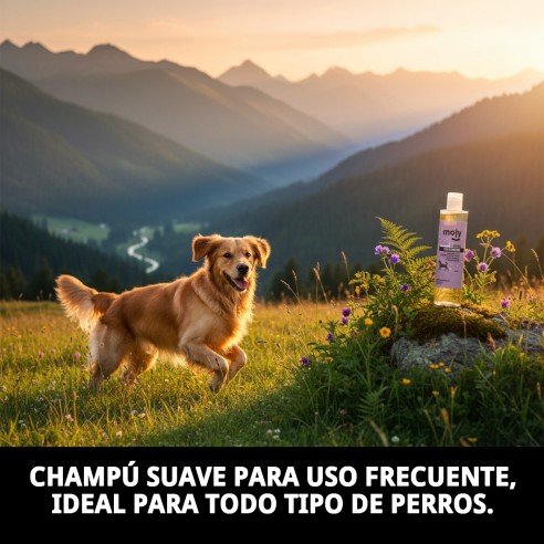 Champú Uso Frecuente 250ml para Perros - Suave y Brillante