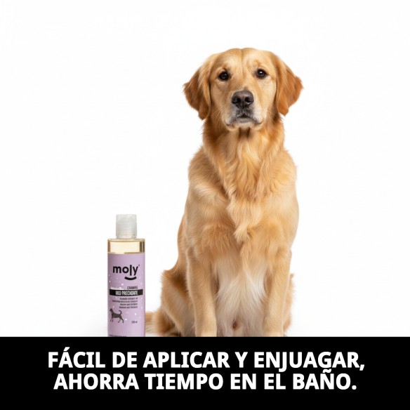 Champú Uso Frecuente 250ml para Perros - Suave y Brillante