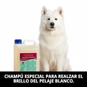 CHAMPU PELO BLANCO 5 LITROS 2
