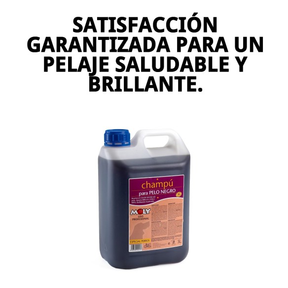 Champú para Perros Pelo Negro 5L | Brillo y Limpieza Intensa