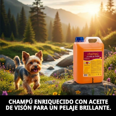 Champú Aceite de Visón 5L para Yorkshire: Brillo y Suavidad