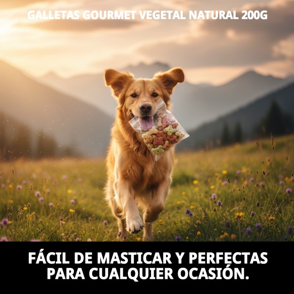 Galletas Gourmet Vegetal Natural para Perros 200g Deliciosas