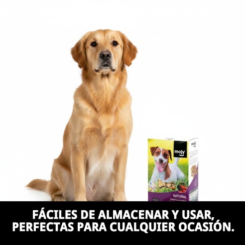 Galletas Gourmet Vegetales para Perros - Sabor y Salud 400g