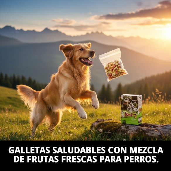 Galletas Mix Fruit Macedonia 400g para perros saludables