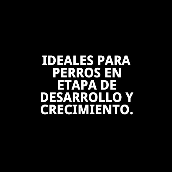 Galletas Puppy 2 kg: Deliciosas y nutritivas para perros