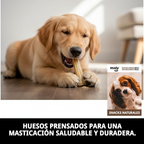 Hueso Prensado para Perros - Salud Dental y Sabor Irresistible