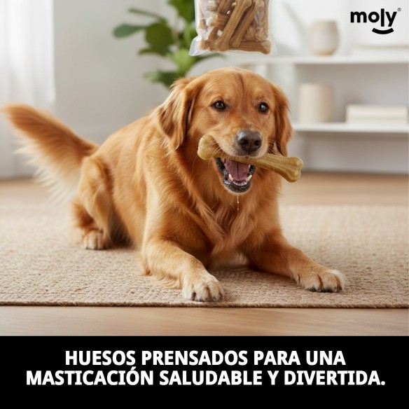 Hueso Prensado para Perros: Salud Dental y Sabor Irresistible