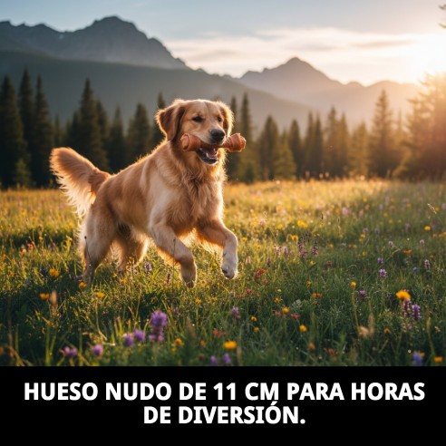 Hueso Nudo Moly 11cm: Snack Saludable para Perros