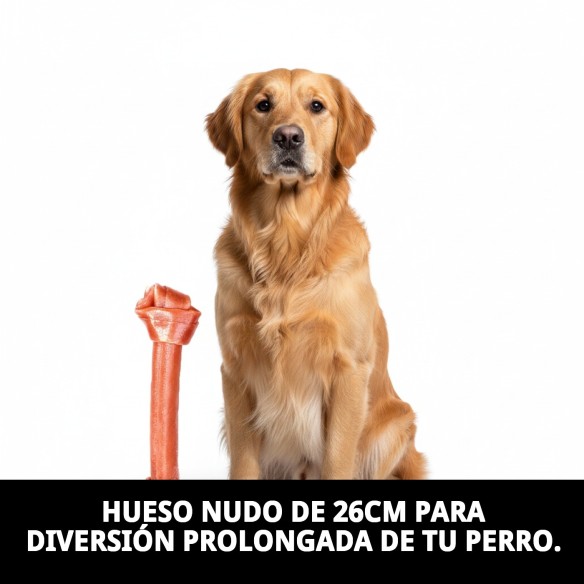 Hueso Nudo 26cm Moly: Snack Saludable para tu Perro
