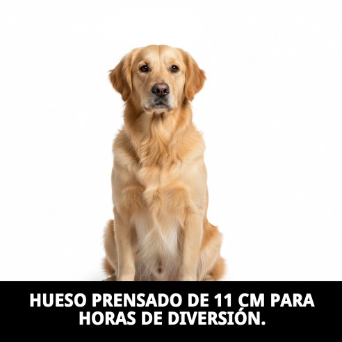 Hueso Prensado Moly 11cm: Salud y Diversión para tu Perro