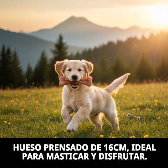 Hueso Prensado Moly 16cm: Delicia y Cuidado Dental para Perros