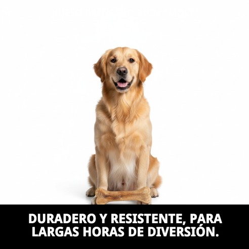 Hueso Prensado Moly 21cm: Golosina y Juguete para Perros