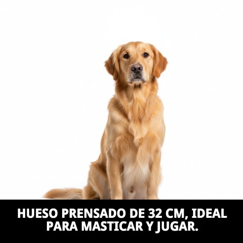 Hueso Prensado 32cm Moly: Masticable Natural para Perros
