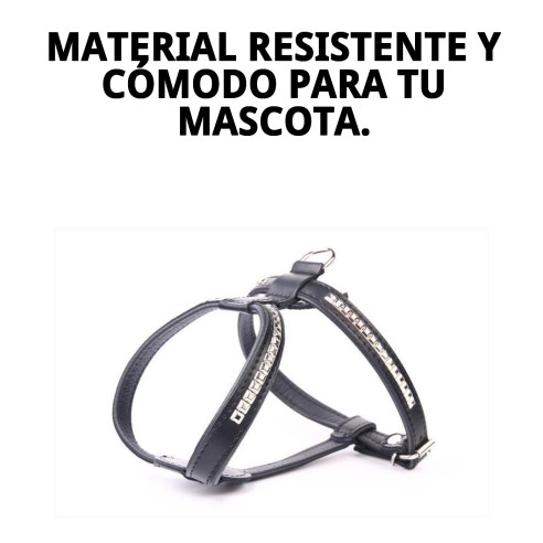 Arnés de Piel Luxury con Clavos 60 cm - Estilo y Comodidad