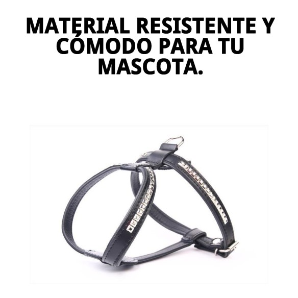 Arnés de Piel Luxury con Clavos 60 cm - Estilo y Comodidad