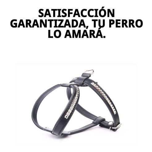 Arnés de Piel Luxury con Clavos 60 cm - Estilo y Comodidad