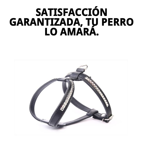 Arnés de Piel Luxury con Clavos 60 cm - Estilo y Comodidad