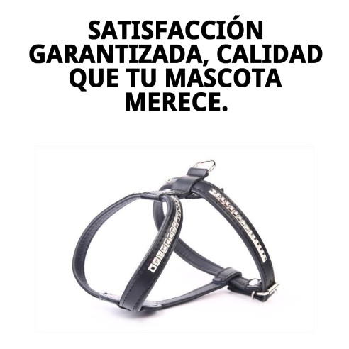 Arnés de Piel Luxury Clavos 90 cm para Mascotas Elegantes