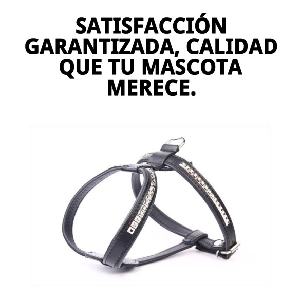 Arnés de Piel Luxury Clavos 90 cm para Mascotas Elegantes