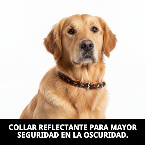 Collar Luxury Reflectante de Piel - 57 cm Naranja Brillante