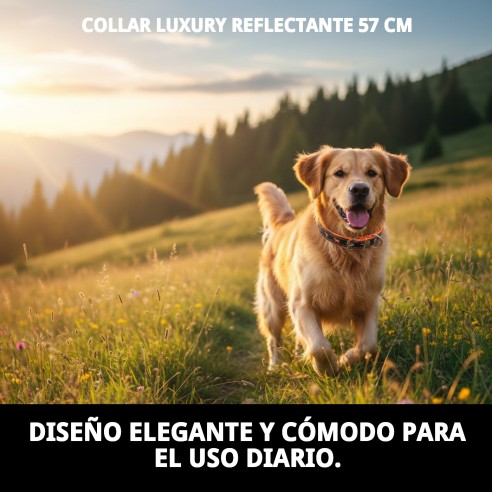 Collar Luxury Reflectante de Piel - 57 cm Naranja Brillante