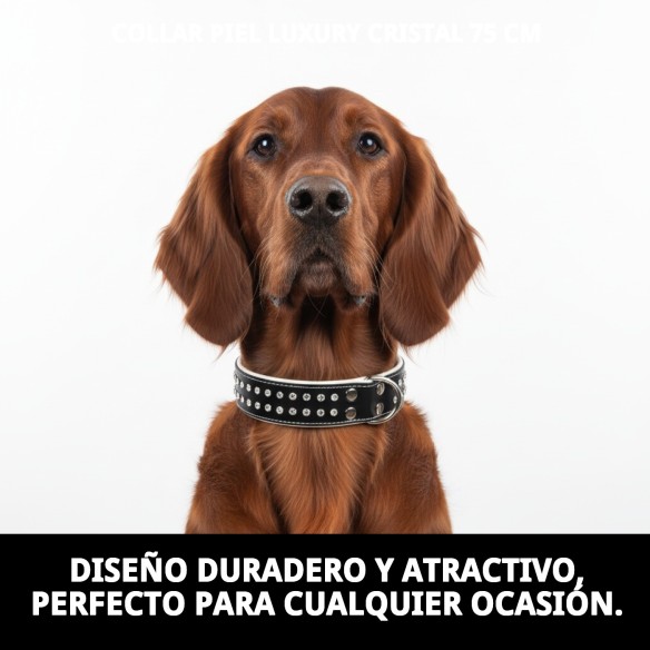 Collar Piel Luxury con Cristales - Elegancia para tu Mascota