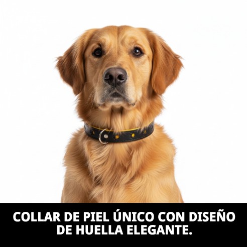 Collar de Piel Luxury Huella 45 cm - Amarillo Reflectante