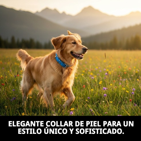 Collar Piel Luxury Redondo 40 cm - Estilo y Elegancia