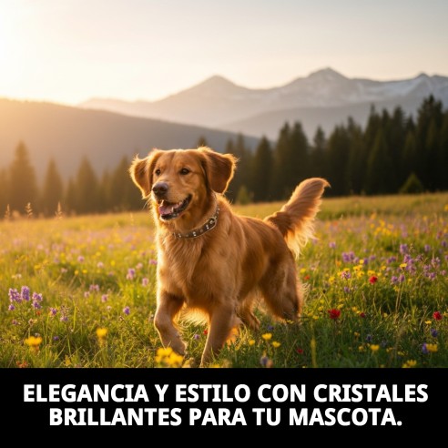 Collar Piel Luxury con Cristales - Elegancia para tu Mascota